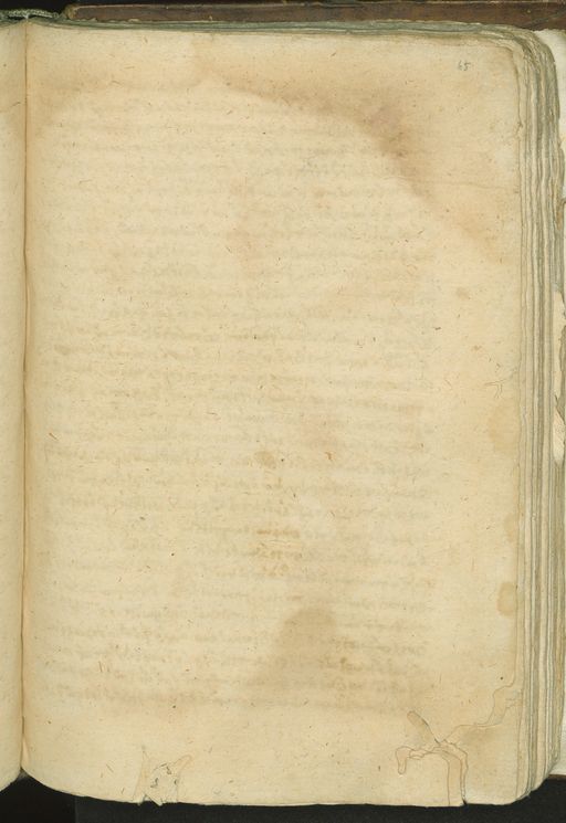 65r [133]