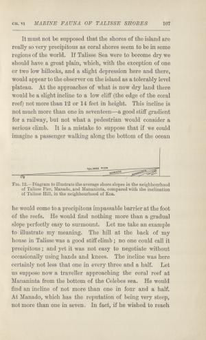 Spooky Scotland: Skimming and Scanning Task (teacher made)