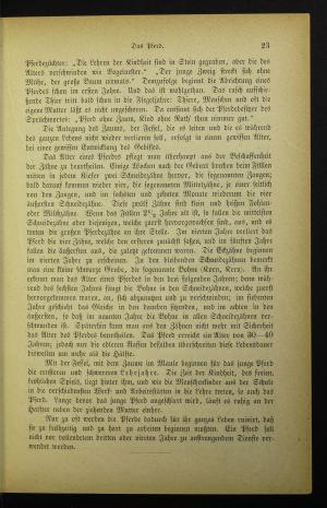 Das Feuerzeug und andere Märchen (42. der Blauen Bändchen, herausgegeben  von J.…