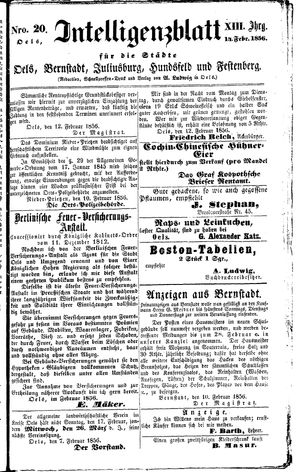 Intelligenzblatt für die Städte Oels, Bernstadt, Juliusburg, Hundsfeld und Festenberg on Feb 14, 1856