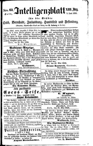 Intelligenzblatt für die Städte Oels, Bernstadt, Juliusburg, Hundsfeld und Festenberg vom 03.06.1856