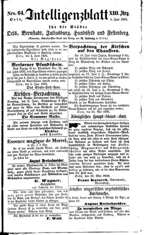 Intelligenzblatt für die Städte Oels, Bernstadt, Juliusburg, Hundsfeld und Festenberg vom 05.06.1856