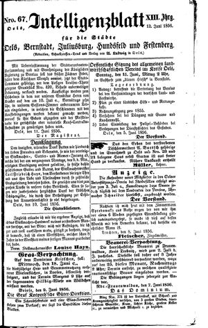 Intelligenzblatt für die Städte Oels, Bernstadt, Juliusburg, Hundsfeld und Festenberg vom 12.06.1856
