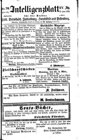 Intelligenzblatt für die Städte Oels, Bernstadt, Juliusburg, Hundsfeld und Festenberg on Jun 22, 1858
