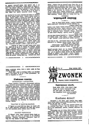 Dziennik Berliński vom 29.06.1930