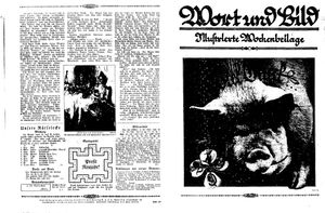 Fehrbelliner Zeitung vom 29.12.1928
