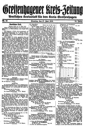 Greifenhagener Kreiszeitung vom 17.06.1919