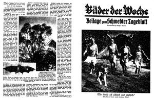 Schwedter Tageblatt vom 19.08.1927