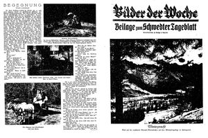 Schwedter Tageblatt vom 02.12.1927