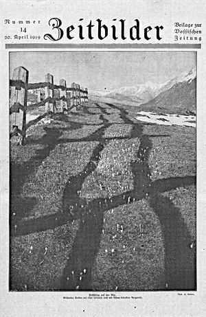 Vossische Zeitung vom 20.04.1919
