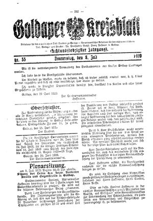 Goldaper Kreisblatt vom 08.07.1920