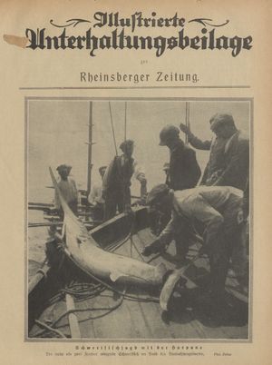 Rheinsberger Zeitung vom 16.01.1926