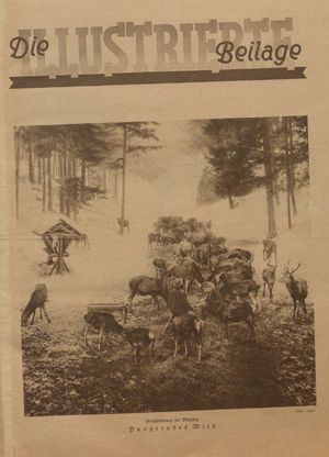 Rheinsberger Zeitung vom 12.01.1929