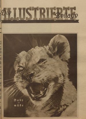 Rheinsberger Zeitung vom 13.04.1929