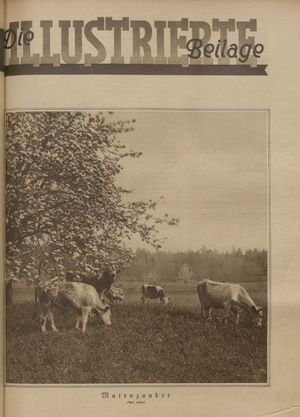 Rheinsberger Zeitung vom 04.05.1929