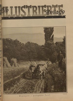 Rheinsberger Zeitung vom 03.08.1929