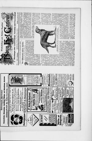 Berliner Tageblatt und Handels-Zeitung vom 09.02.1901
