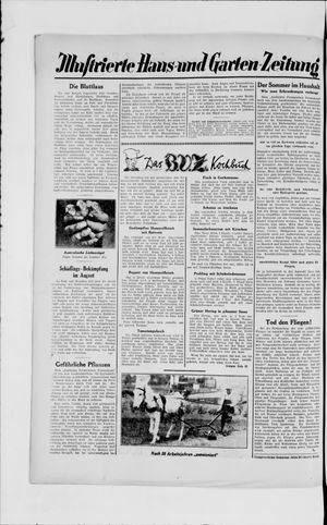 Berliner Volkszeitung on Aug 2, 1929