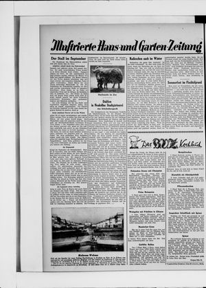 Berliner Volkszeitung vom 19.09.1930