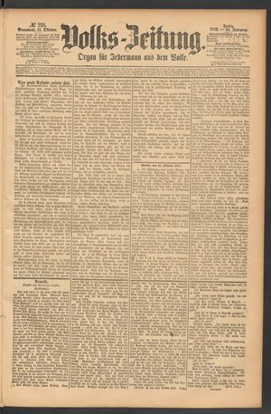 Volks-Zeitung on Oct 11, 1873