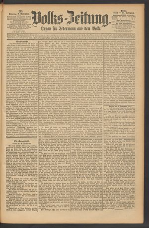 Volks-Zeitung vom 09.11.1873