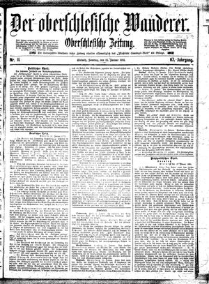 Der Oberschlesische Wanderer vom 13.01.1895