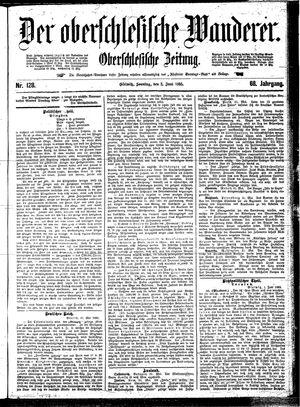 Der Oberschlesische Wanderer vom 02.06.1895