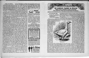 Der praktische Landwirt im Briesetal vom 26.06.1930