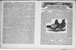 Der praktische Landwirt im Briesetal vom 24.07.1930