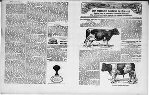 Der praktische Landwirt im Briesetal vom 27.11.1930