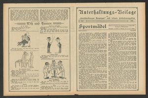 Senftenberger Anzeiger vom 17.06.1933